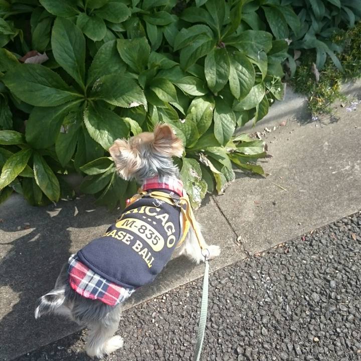 8282511e e7a2 45be 9f63 fe9d51f6dee2