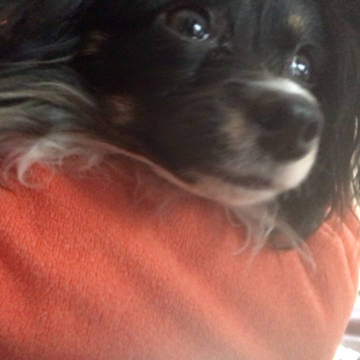 828288ef b954 44da b726 92f78026c495