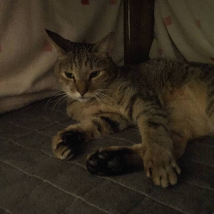 82833726 3f2b 40b0 a225 b8bc249b3459