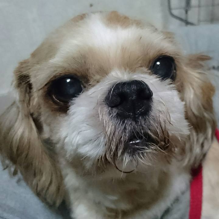 8283719d d8e4 4362 878c ca8c27573738