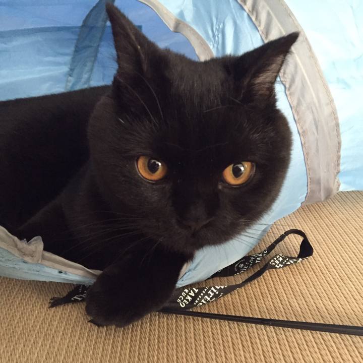 8283dc2b e0ad 4f0d b47b 6e125841e175