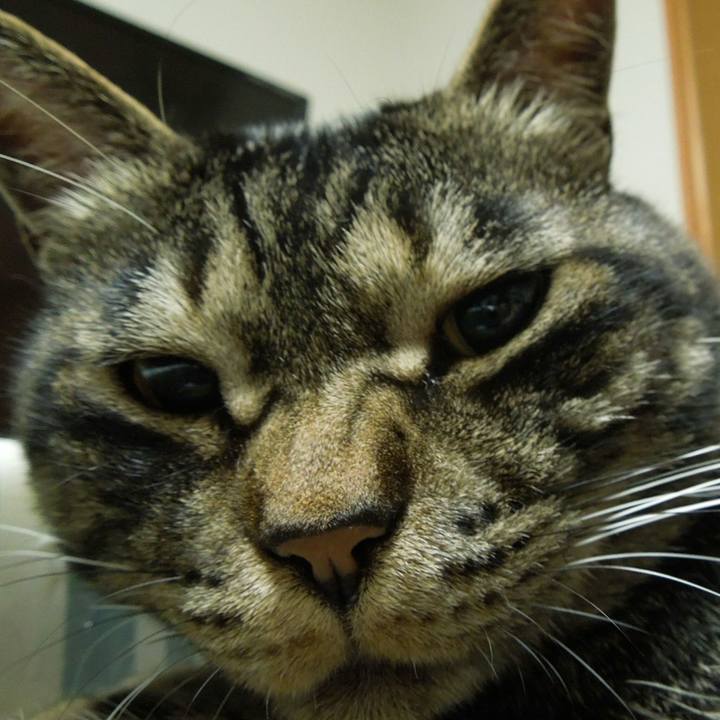 82844328 248a 4e97 b9af 1069e52eacc3