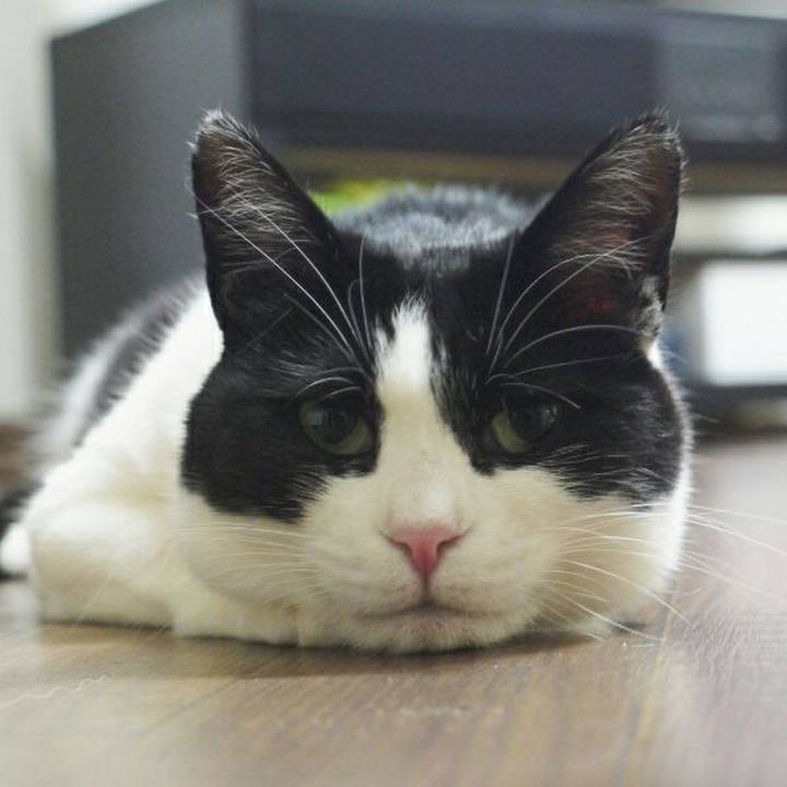 82847730 0af7 4e12 a682 09052807dba8