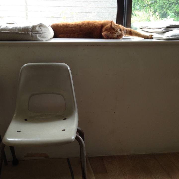 8285092e eea2 457e 902a 6ca7e7649199