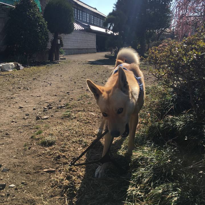 8285f102 4ed7 4023 8ba8 5b4f0d8b1f18