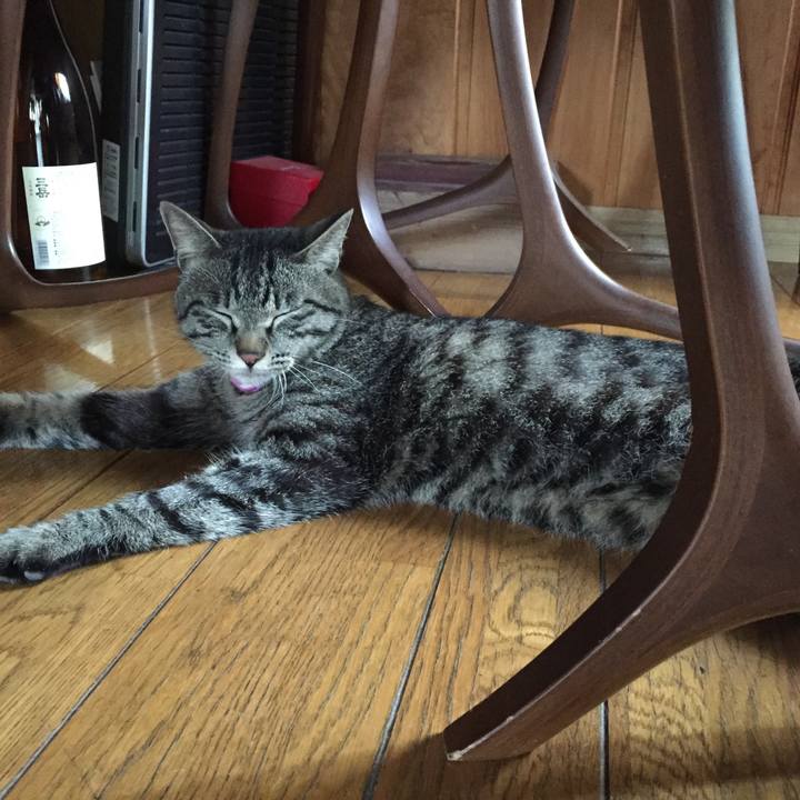 82860a91 3196 4859 9eba 65ee93d502fa