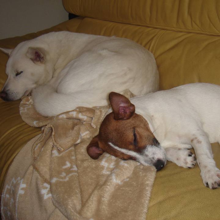 82864503 fdcb 47af b3b8 8bf56435c0e7