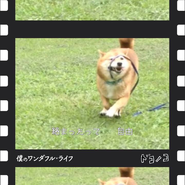 8286d037 7bf4 47b7 b62f c40bfe681b3b