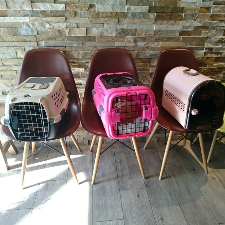 8286e4ea c0bf 4380 946e 0e0adf07be90