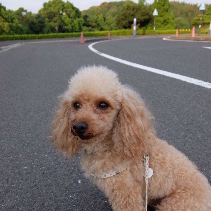 828738da 37cb 410f b9f9 422bd46fdc98