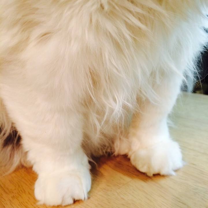 82873f84 3cfa 4eaa 9aa8 d58415cdf555