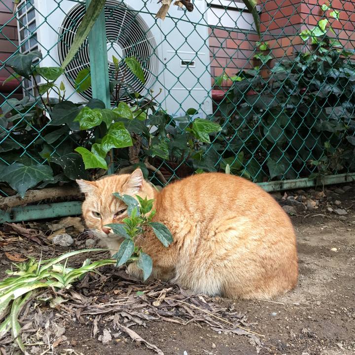 8287635b 1af8 4fd8 911d aad6570724d6