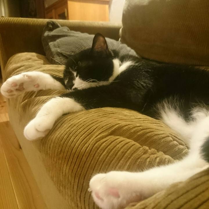 82876652 c7b1 4427 8b23 e9624d3ec6ca