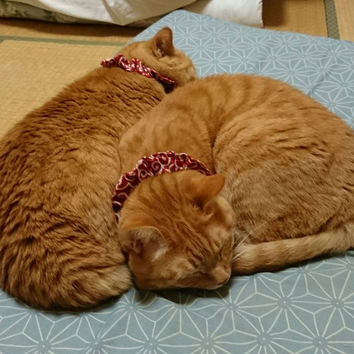 8288efb4 fa99 4160 ae46 d5bbc75e217c