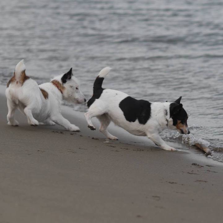 82891557 9e5e 4543 9505 abd8e472658b