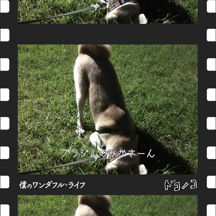 8289661d 2665 4849 ad1c e58c47b6ff19