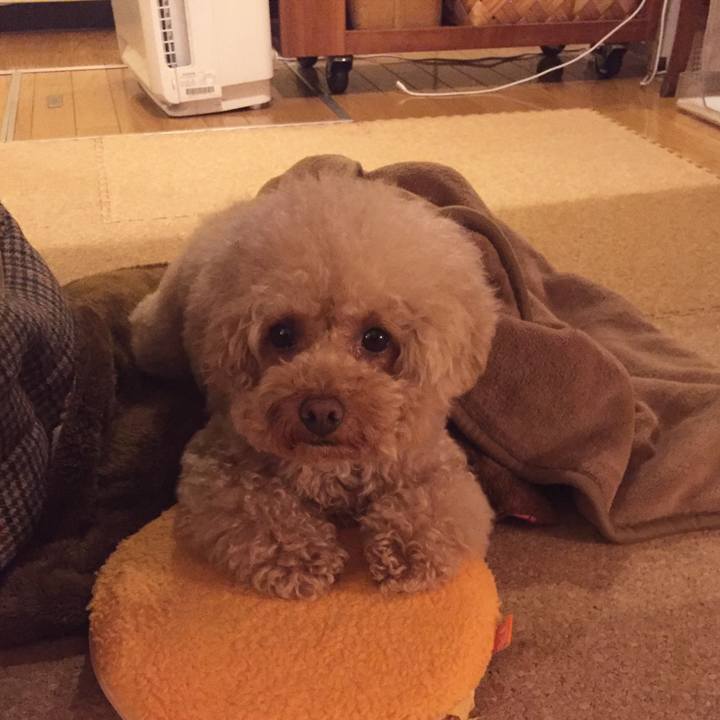 828b7d66 93d4 4dcb b879 885f03478da1