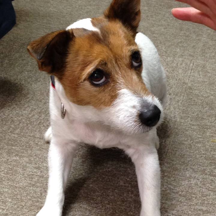 828b9fe4 6bf5 47d2 8a84 2852aa5507d3