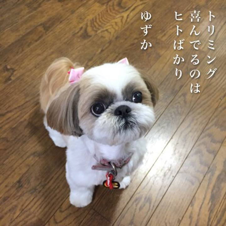 828bc037 5b6d 4f26 8a58 082c8cf9f932