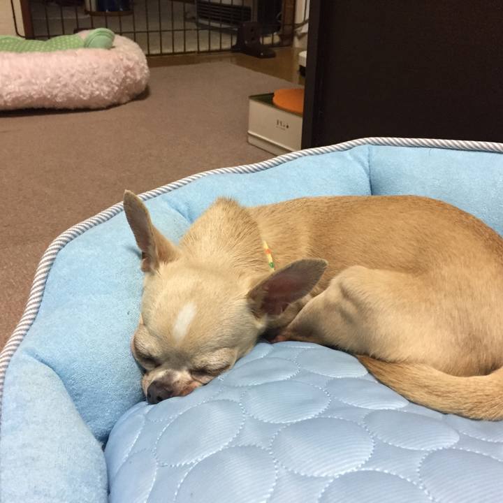 828bc8c5 a47d 45bf b3af 78d4bce84a51