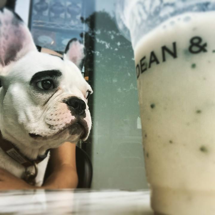 828c1632 f112 462d b134 afc930bc9780