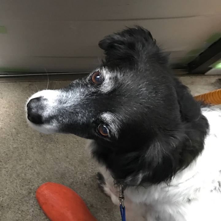 828c3d94 af7b 4651 92db 76cf10030e83