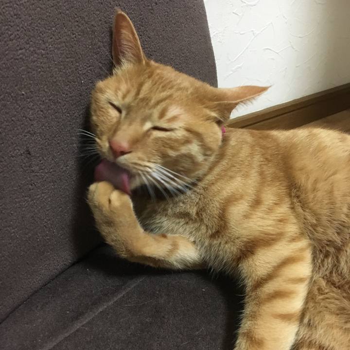 828c4069 ee88 47bd aa8d dc6cff37c66e