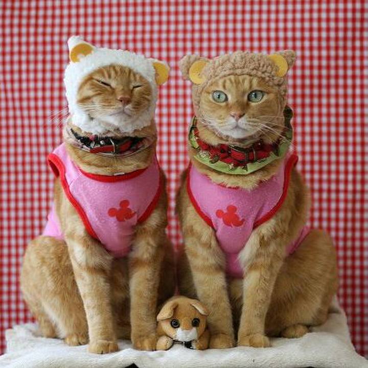 828c40b6 8e64 4ea2 aa25 42452a6c2e38