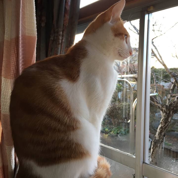 828d3053 7be4 4a10 af83 a71392a432b3