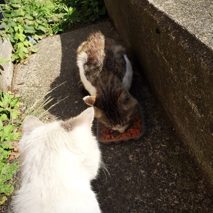 828d9bd5 60d5 4d62 b965 ffa484be0540