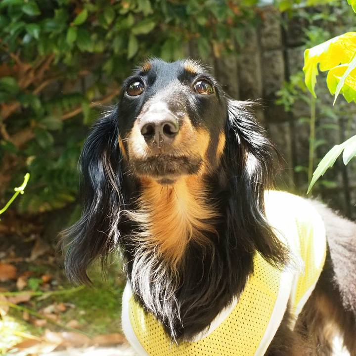 828df09d 6a58 470e 86f2 e2b21b1db658