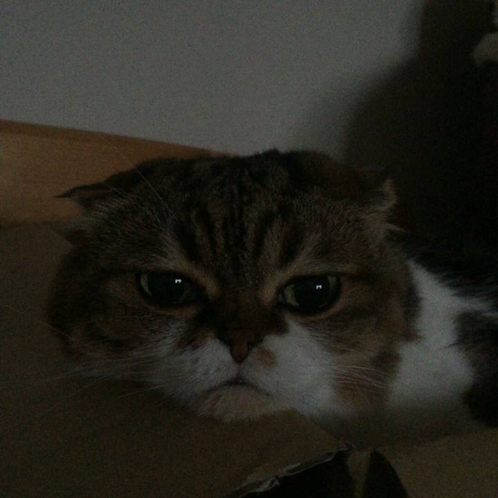 828ea54f f069 4195 b58d 57df09c0bbf2