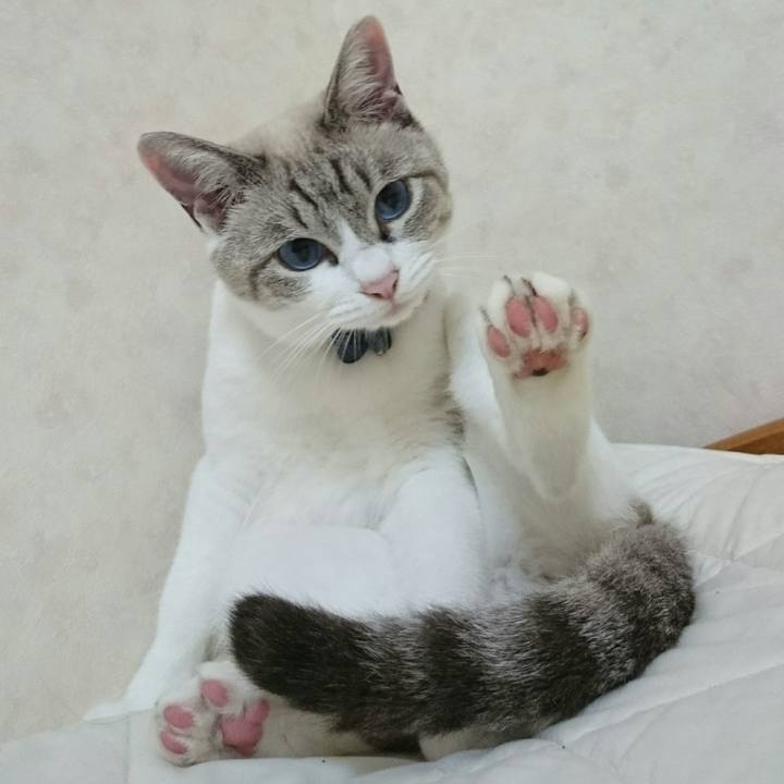 828f15d7 2a74 44f1 b64b 23192a8eec84