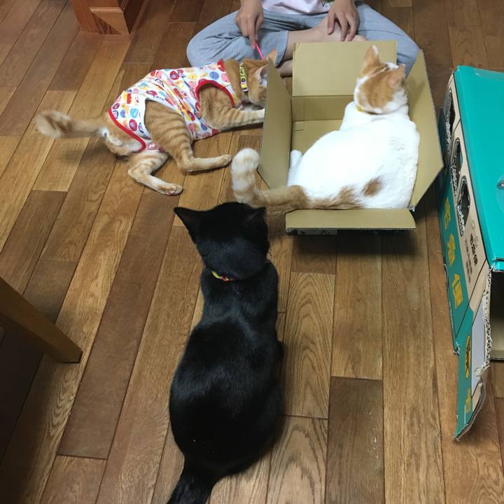 828f6b0e 09b0 48e0 a966 9a5c6c295c46