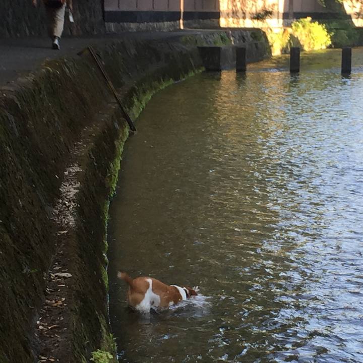 8290c073 4955 472b 951c 16718a787e05