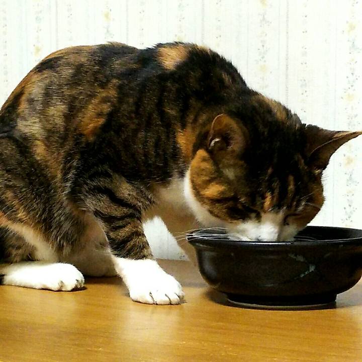 82913d09 c479 4219 9a4a 7e2a541c0e16