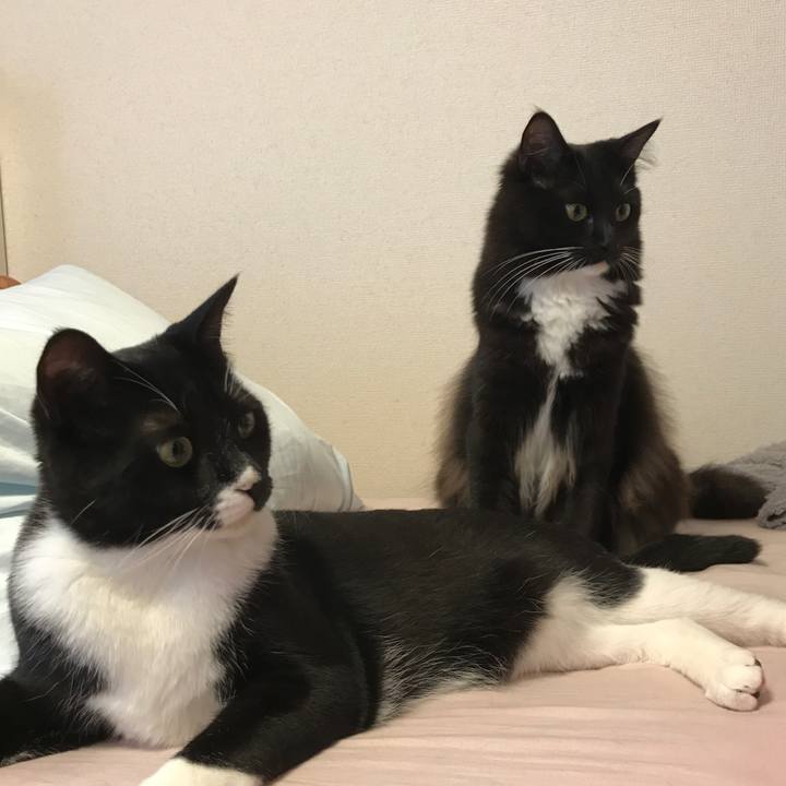 8291cfe4 855b 486a 850f efaa7fb4f105