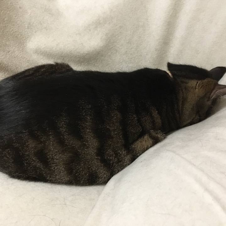 829246ee bd62 45c8 9354 26acf0dc5f0a