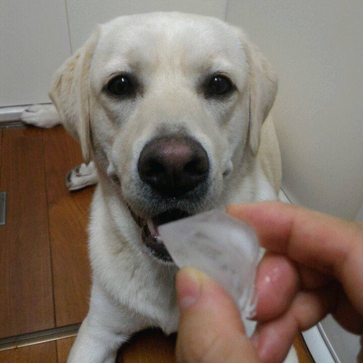 8292b80f 3631 40be 8631 5923ad20d838