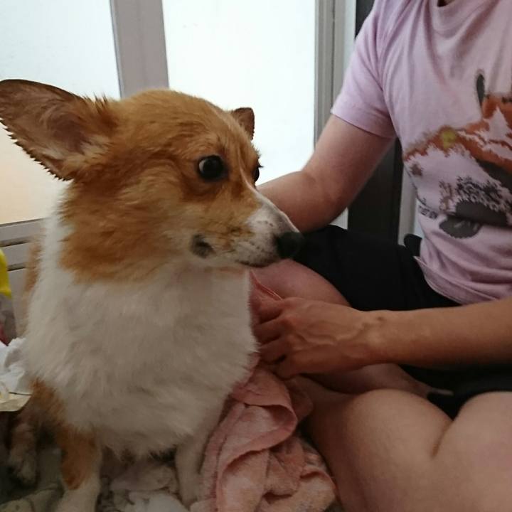 82940ba6 d4b0 4f8e a29d 469073788fcf