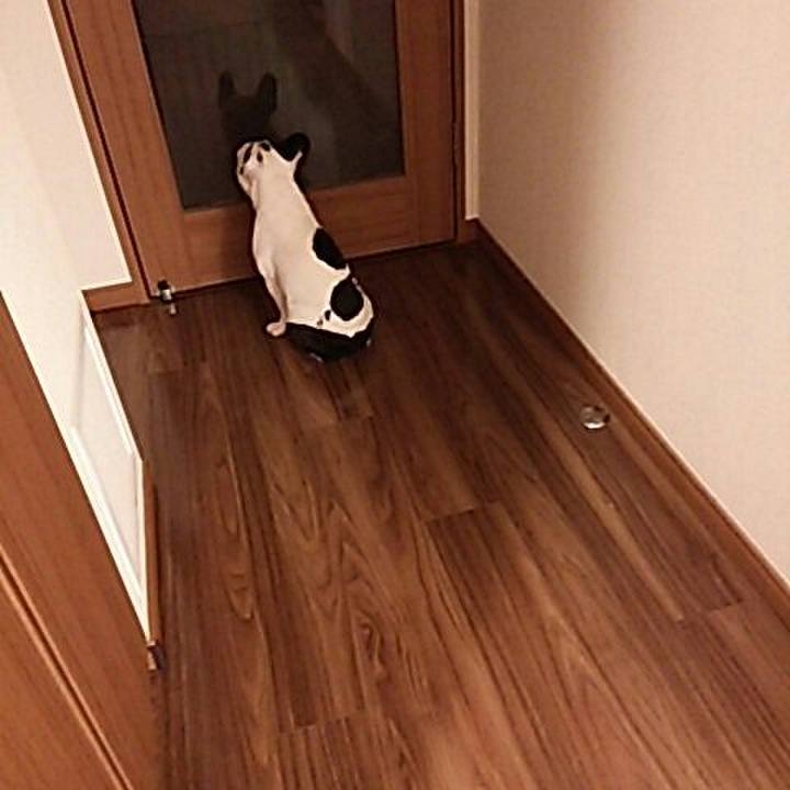 82942cdc 5524 466b b138 c10c7e14f4ff