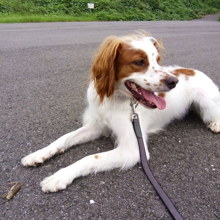 82942df6 7cf0 4be7 b5c1 ef0e51f7375d