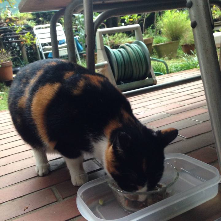 82948675 21e5 47f6 b6c9 431ec1cd2c7a