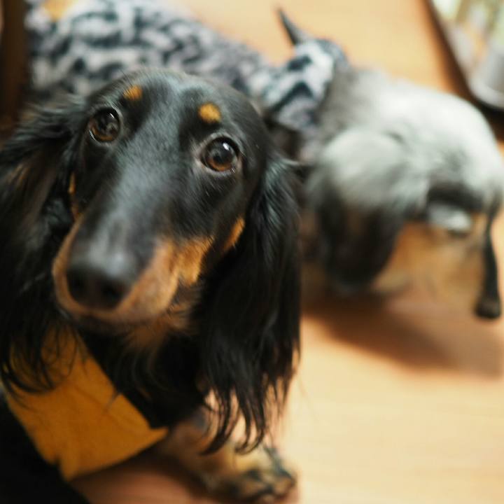 8294b483 e842 468f b9ff d65099f820bc