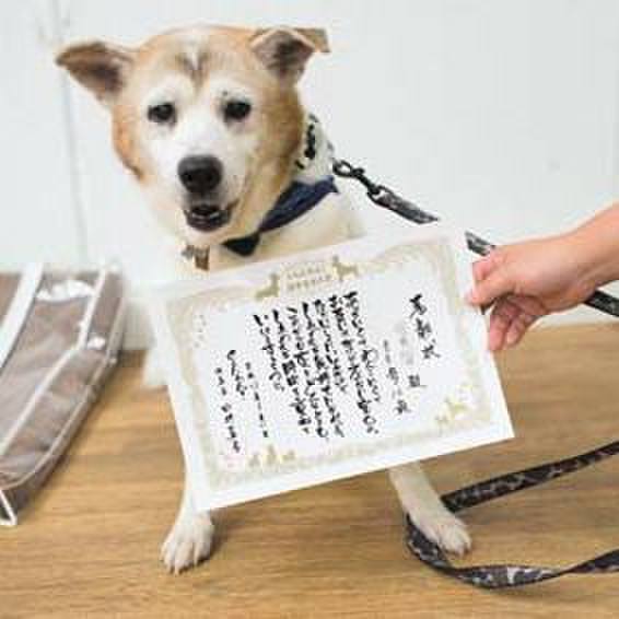 8294ee3e 426c 4525 88e2 d745e1f7feb3