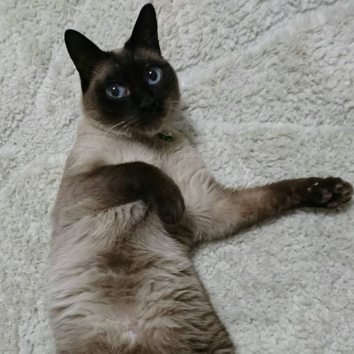 8294fc29 02e4 4679 b900 7771fa4c2f4f