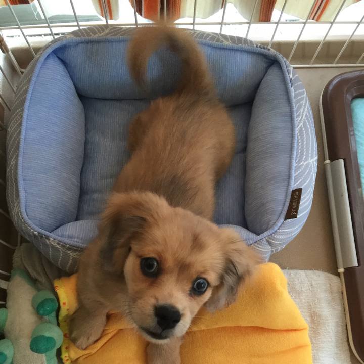 8295157c 4326 47c4 a49e 40c52b609761