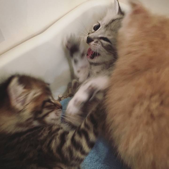 829537c5 166f 4f16 a5c9 c3fd32ba44e1