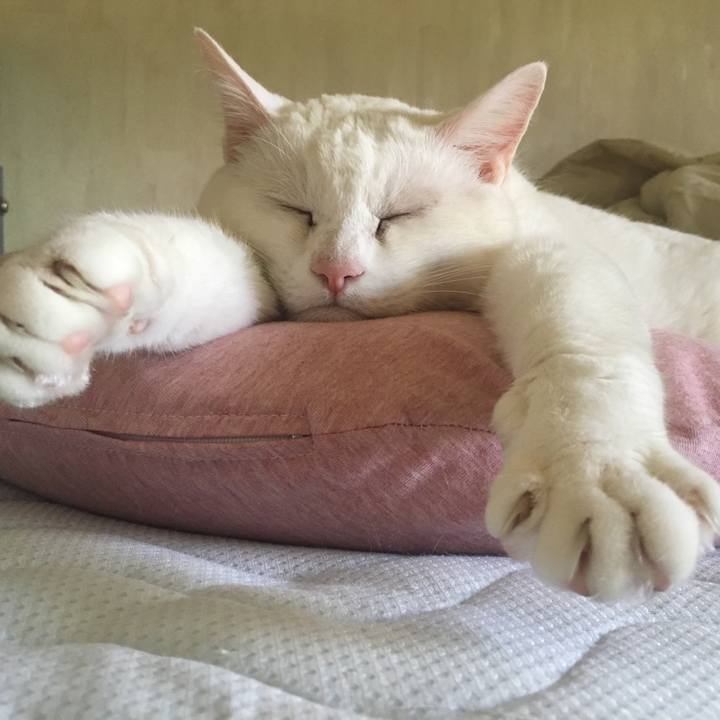 82955726 a37c 4fe7 89c7 445fc6ff9139