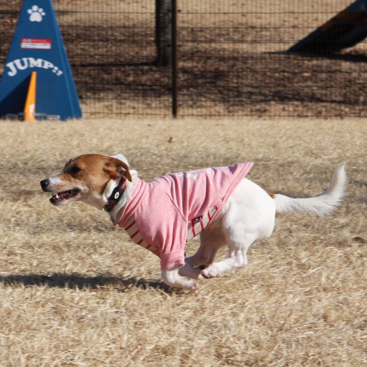 82956be9 141e 4f51 a2c6 90bb2c08935f